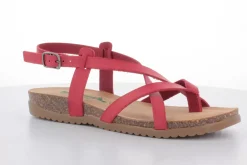 BioNatura 34 A 2005 Gaucho Oil^Woman Woman Summer